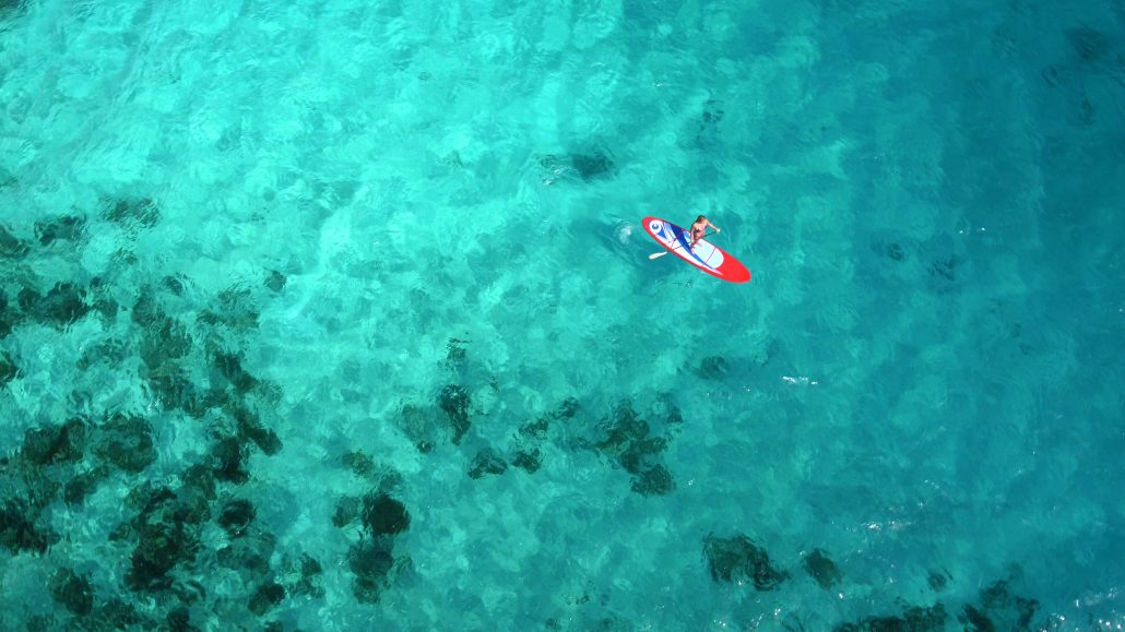 Paddle Boards in Miami